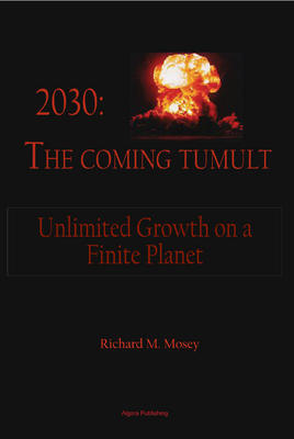 2030: The Coming Tumult. Unlimited Growth on a Finite Planet